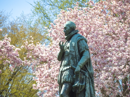 Statue of Willie the Silent surrounded by pink magnolia blossoms on Voorhees Mall in New Brunswick on the College Avenue campus.